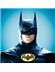 Batman Robin photo