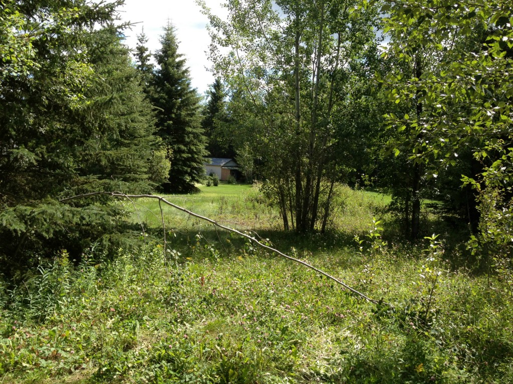 Agrandir l’image
