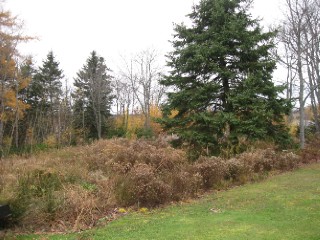 Agrandir l’image