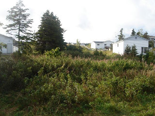 Agrandir l’image