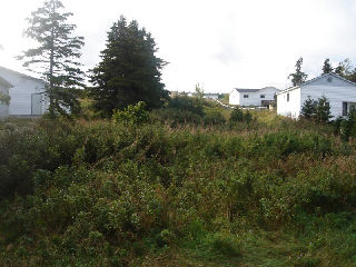 Agrandir l’image