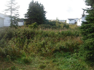 Agrandir l’image