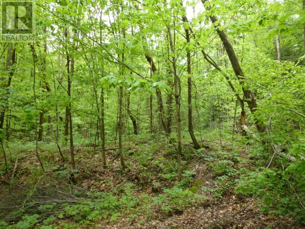 Agrandir l’image