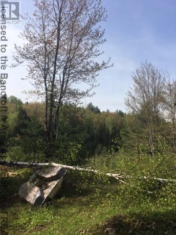 Agrandir l’image