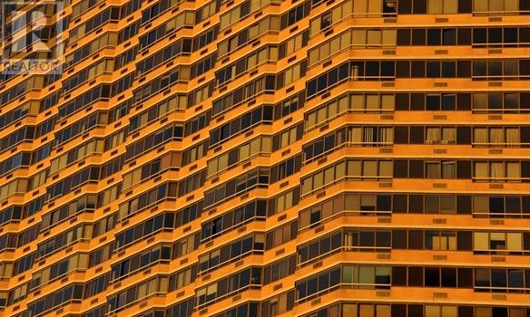 Voir l’image agrandie dans une galerie d’images