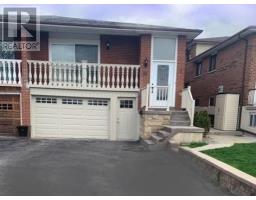 #LOWER -33 ALBANY DR, Vaughan, Ontario 